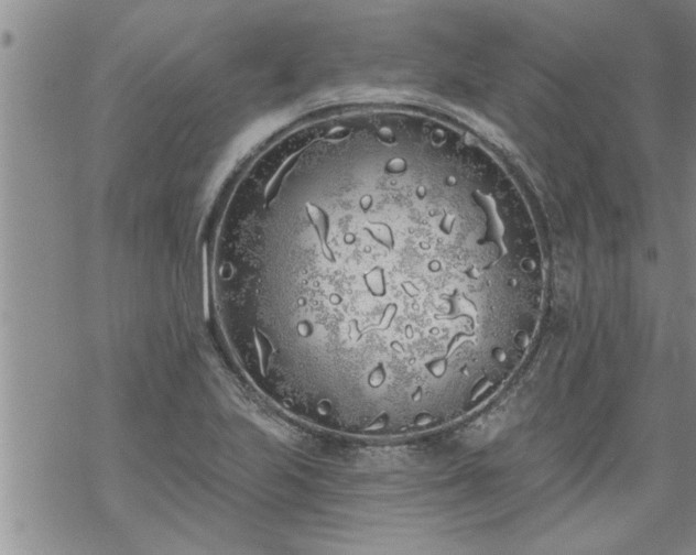 X0000069381223200605192141