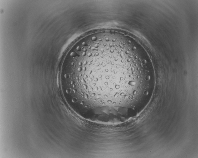 X0000069381224200605192141