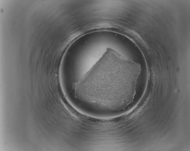 X0000069381225200605192141