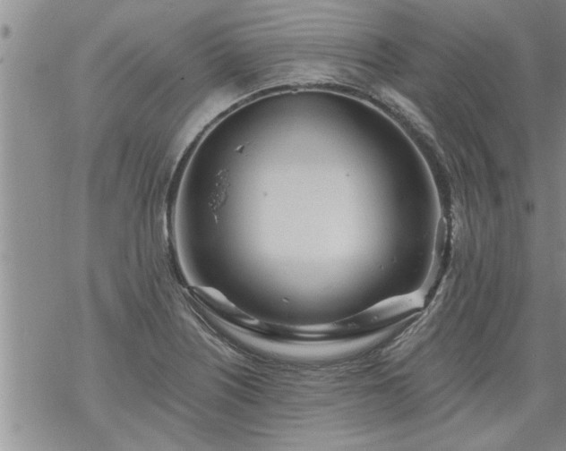 X0000069381226200605192141