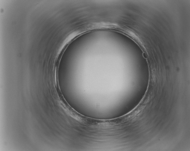 X0000069381227200605192141