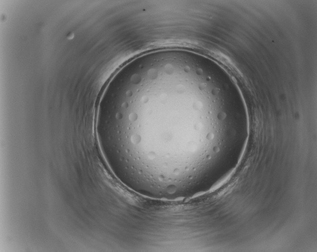 X0000069381228200605192141