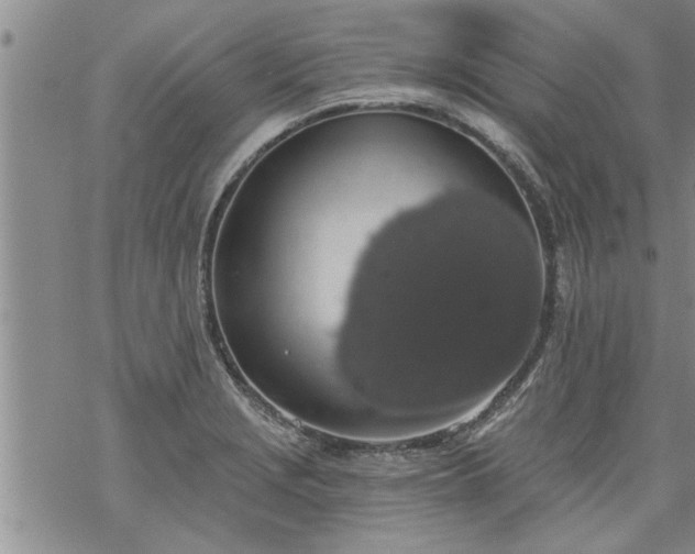 X0000069381229200605192141