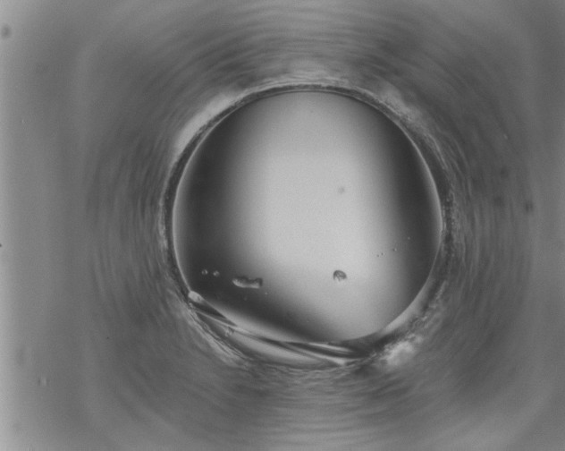 X0000069381230200605192141