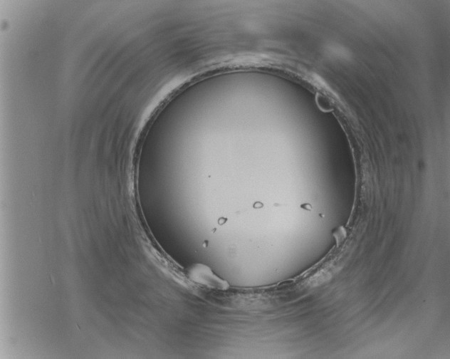 X0000069381232200605192141