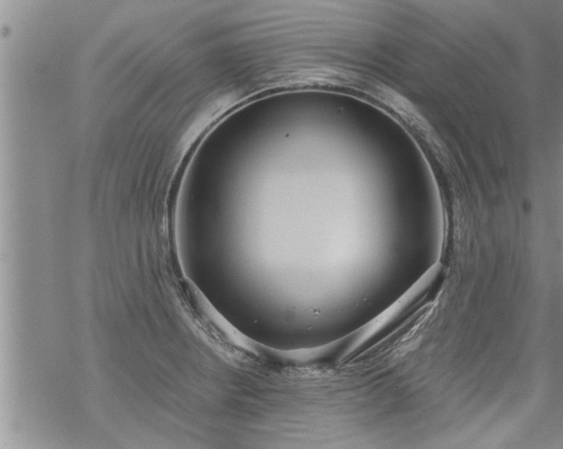 X0000069381234200605192141