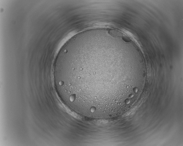 X0000069381235200605192141