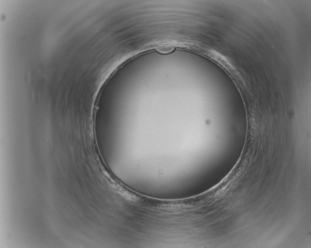 X0000069381236200605192141