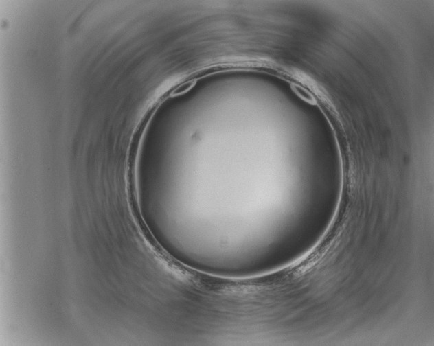 X0000069381237200605192141