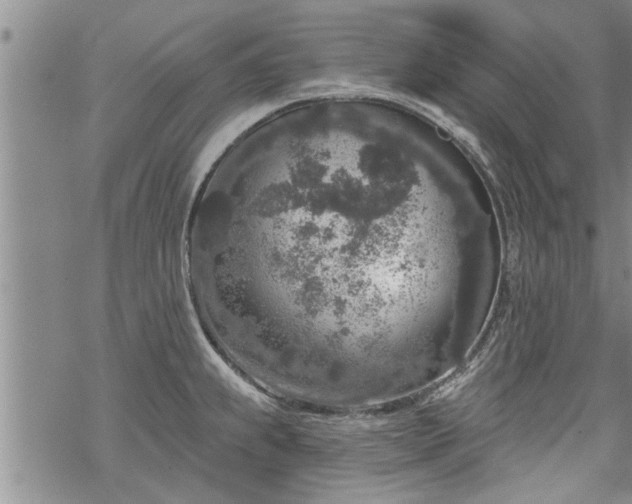 X0000069381239200605192141