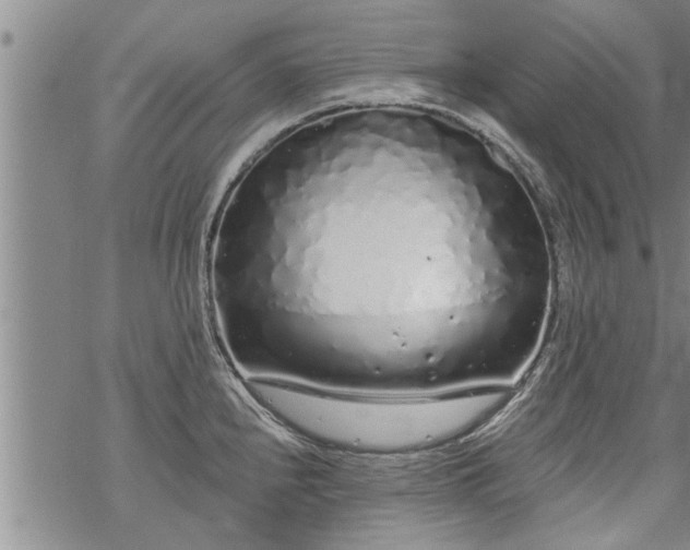 X0000069381240200605192141