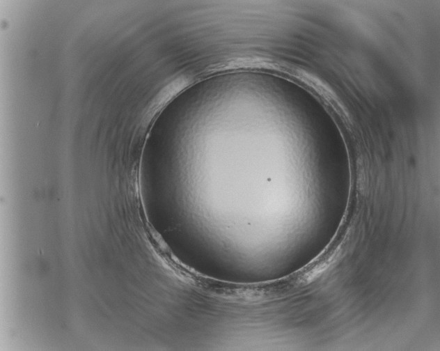 X0000069381241200605192141