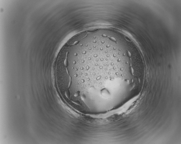 X0000069381243200605192141