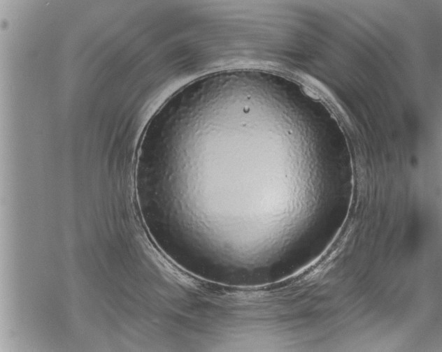 X0000069381244200605192141