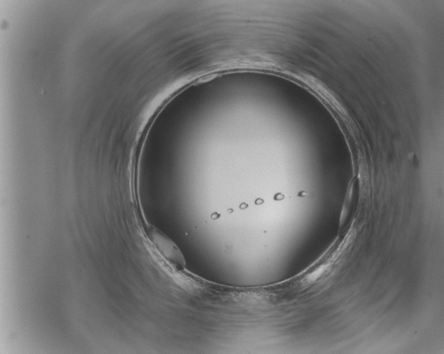 X0000069381246200605192141