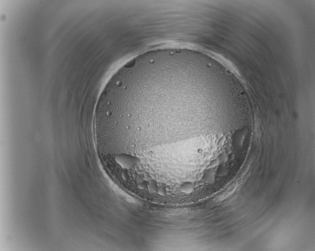 X0000069381247200605192141