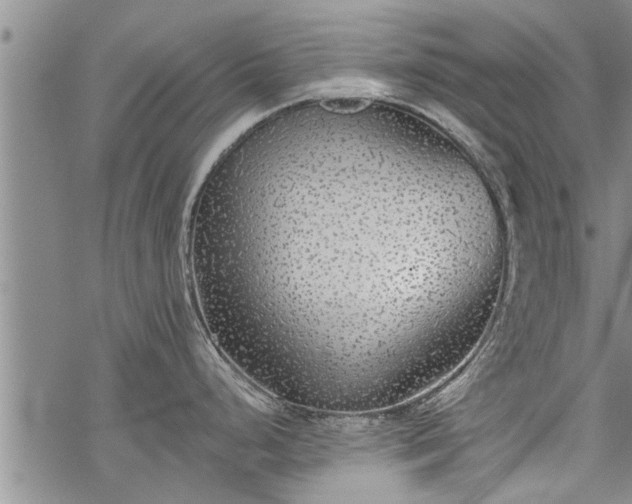 X0000069381248200605192141