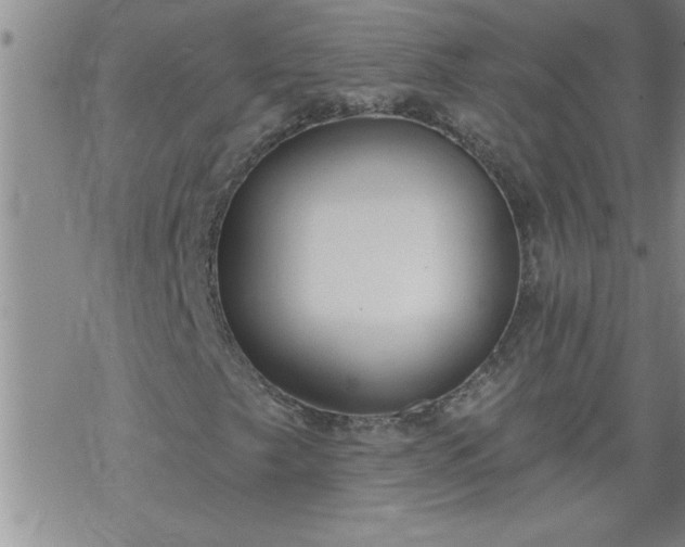 X0000069381249200605192140