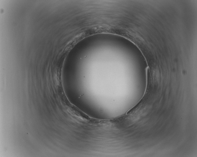 X0000069381250200605192140