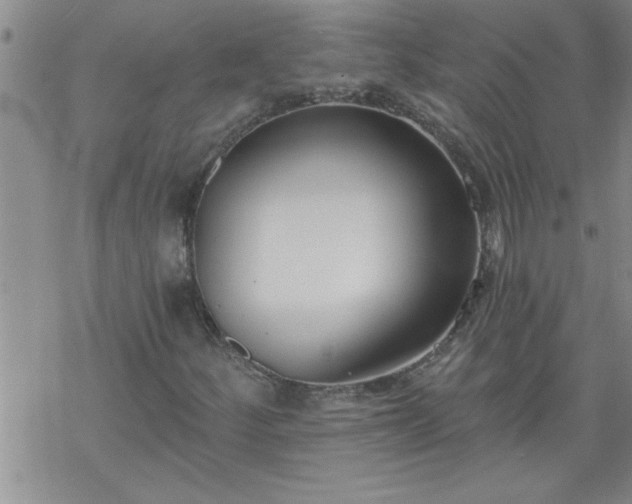 X0000069381252200605192140