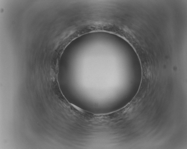 X0000069381253200605192140