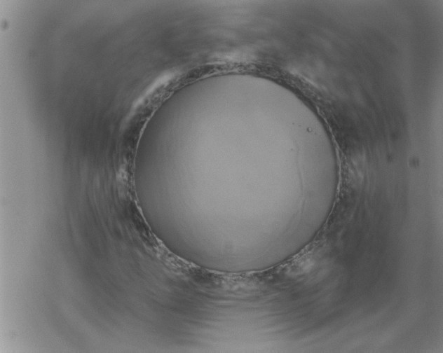 X0000069381254200605192140