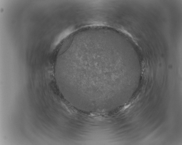 X0000069381255200605192140