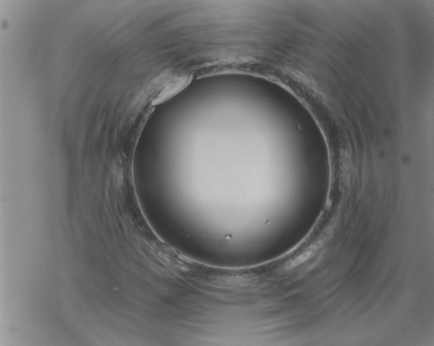 X0000069381257200605192140