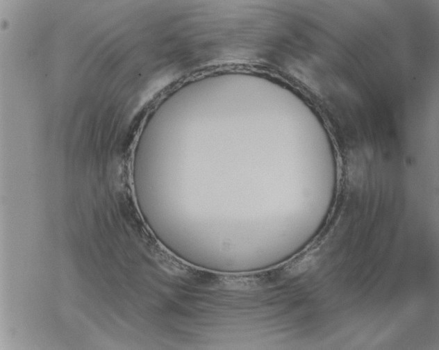 X0000069381258200605192140