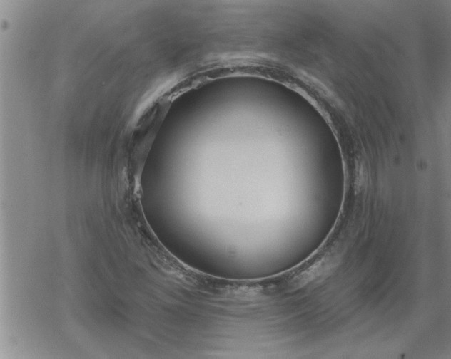 X0000069381261200605192140