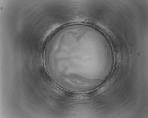 X0000069381262200605192140