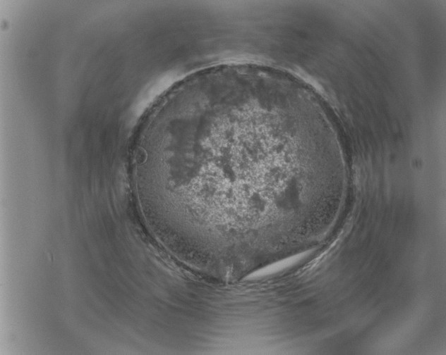 X0000069381263200605192140