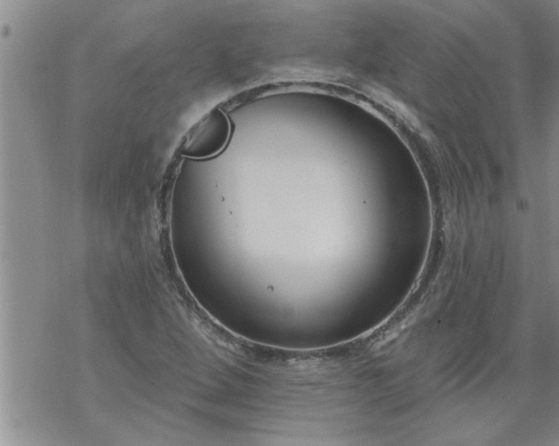 X0000069381264200605192140