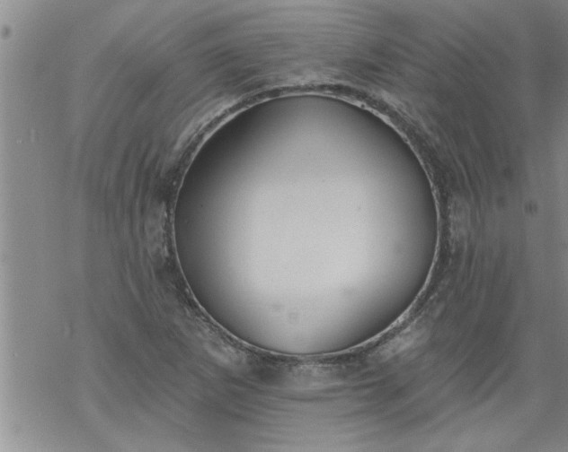 X0000069381265200605192140