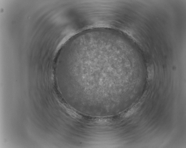 X0000069381266200605192140