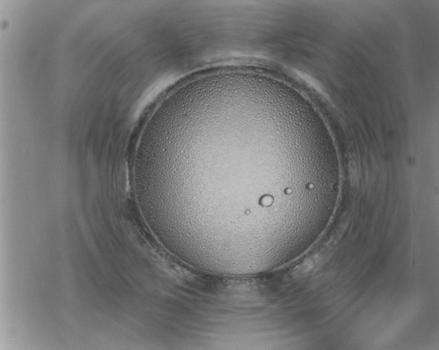 X0000069381267200605192140