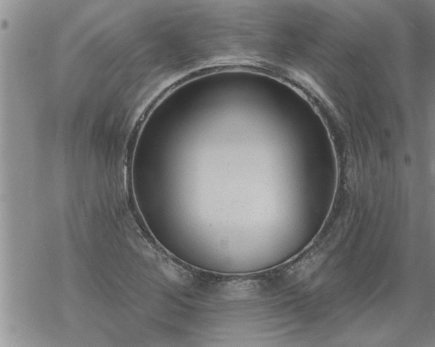 X0000069381268200605192140