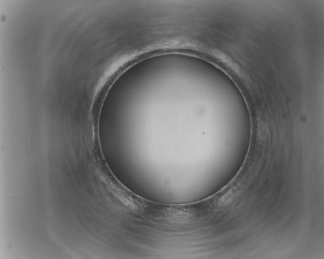 X0000069381270200605192140