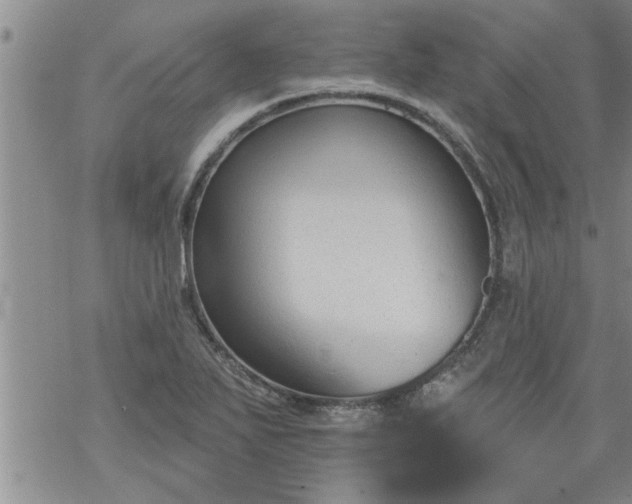 X0000069381271200605192140