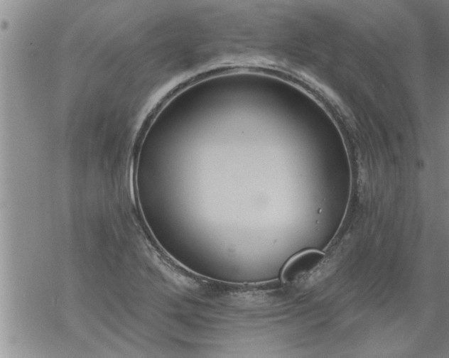 X0000069381272200605192140