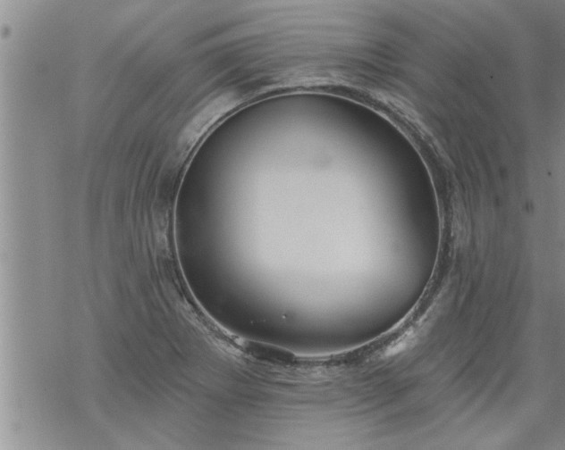 X0000069381273200605192140