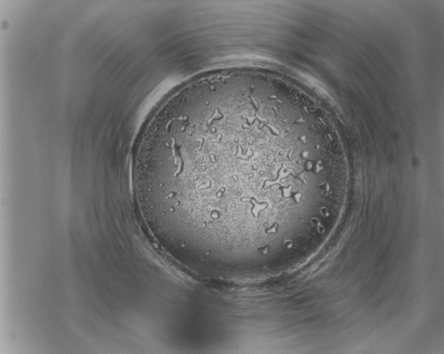 X0000069381275200605192140