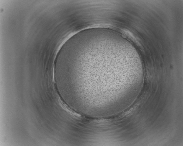 X0000069381276200605192140