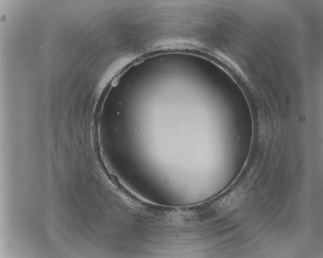 X0000069381277200605192140