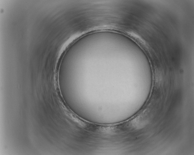 X0000069381278200605192140