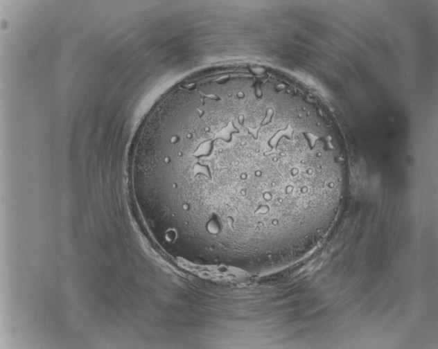 X0000069381279200605192140