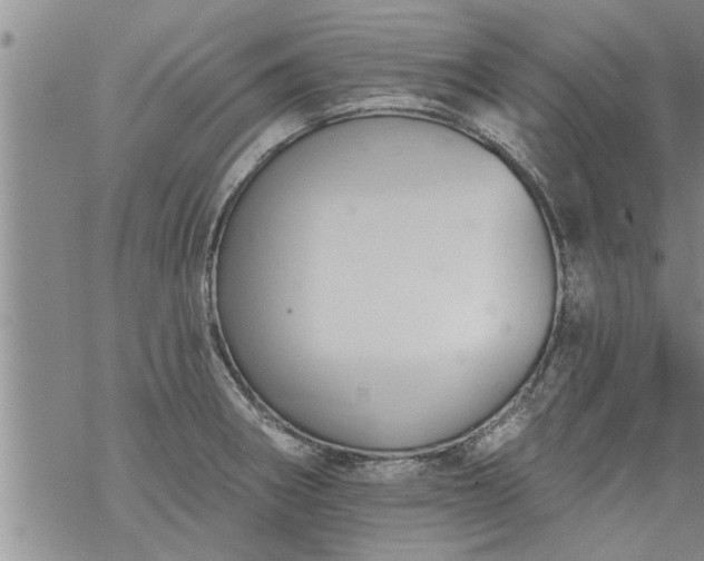 X0000069381282200605192140