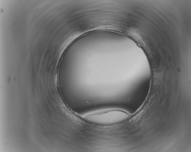 X0000069381284200605192140