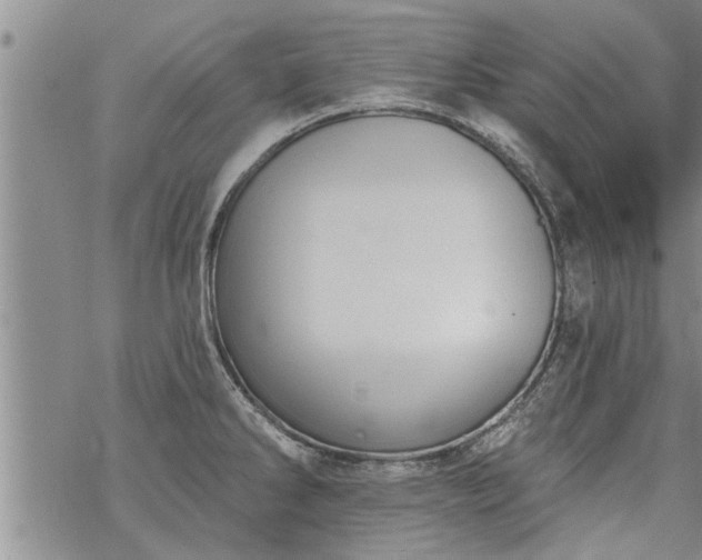 X0000069381286200605192140