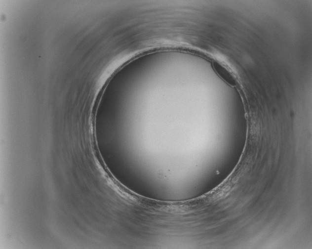 X0000069381287200605192140